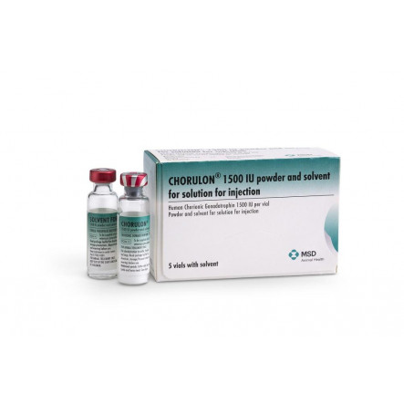 GONADOTROPIN MSD (HCG) 5000IU x 1